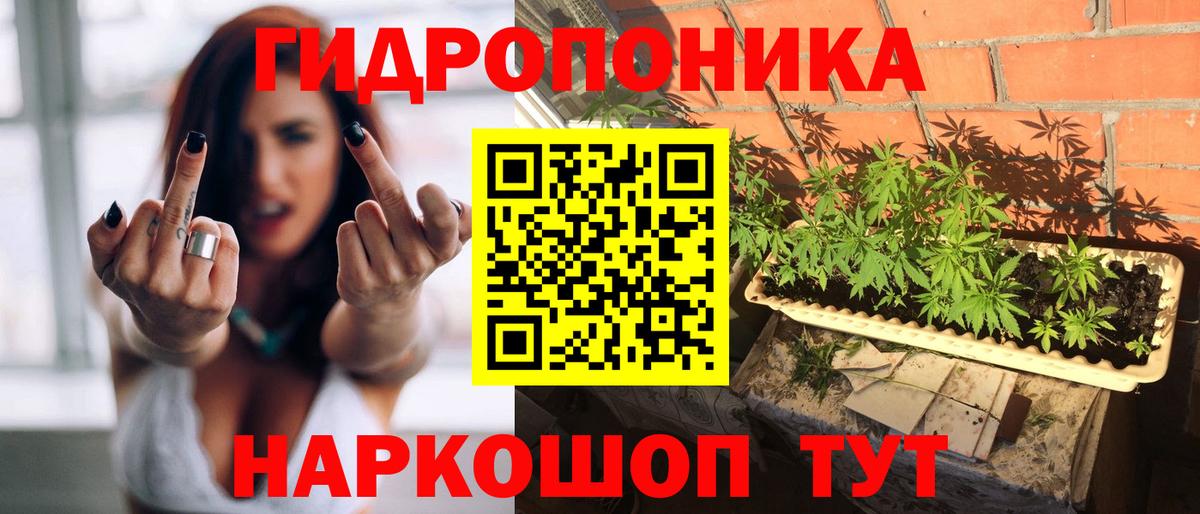 Бошки марихуана гибрид Москва